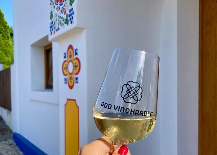 Pod Vinohradem - Apartmany & Vinne Sklepy